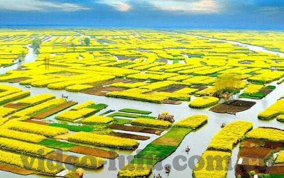 麻豆传媒啊啊啊-麻豆传媒映像之艺术呈现与文化探讨